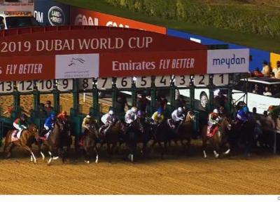 نگاهی به برگزاری گرانترین مسابقه اسب دوانی جهان در دوبی