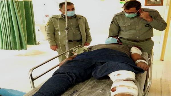 شلیک شکارچی آهو به دو محیط بان بوشهری، یکی از محیط بانان زخمی شد