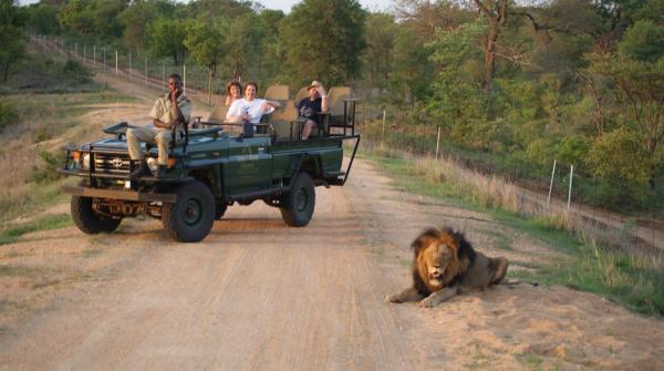 پارک ملی کروگر ، حیات وحش آفریقای جنوبی Kruger National Park