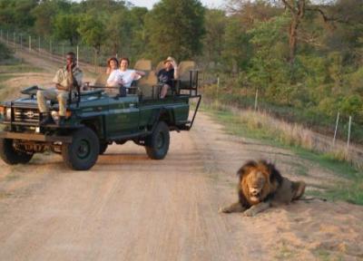 پارک ملی کروگر ، حیات وحش آفریقای جنوبی Kruger National Park